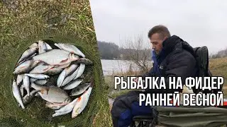 КАК НЕ ОСТАТЬСЯ БЕЗ УЛОВА? Рыбалка на Дубровском водохранилище