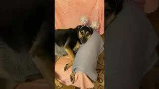 Ну,хоть нужны кому снежинки-то? 😁❄️ 