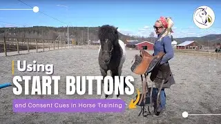 Using Start Buttons and Consent Cues in Horse Training