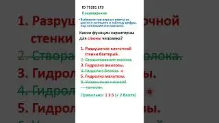 ID 75281 Ответ Слюна