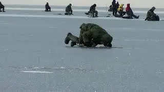 Ловля окуня с льда. Ладога Зимняя рыбалка на окуня Черное Ленинградская область.
