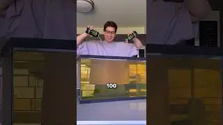 Drinking 100 Liters Of Energy Drink (@wallywhatthe)