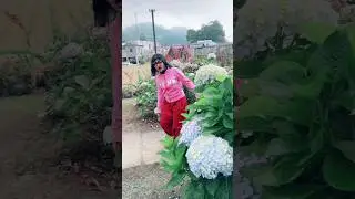 DI DIENG BANJARNEGARA NYARIIN KAKA | NURRAYNI25