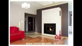 Modele Seminee / Fireplaces / Kamine (Seminee pe lemn, Bioseminee) Semineuri, Semineu