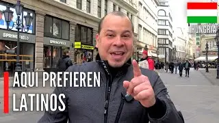 The NEW HUNGARIANS, Latin America WELCOME
