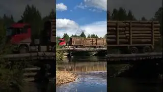КОГДА СЕРДЦЕ УШЛО В ПЯТКИ!  #shorts #fishing  #рыбалка #иркутск