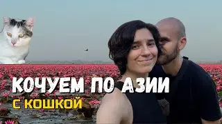 Уехали с Пхукета в Лаос на машине, да ещё и с кошкой!