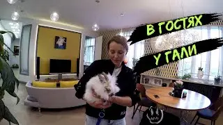 В гостях у Гали. Рум тур квартиры с видом на Крестовский остров