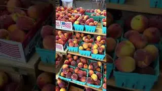 Jaemor Farm Market, GA