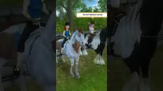 The feeling that old Star Stable had...