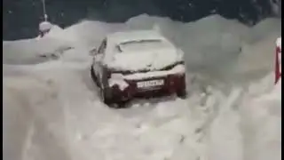 зимний дубль летом