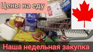 Наша закупка продуктов на неделю. Цены на продукты в Канаде. Что мы едим в Канаде. Иммиграция