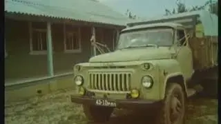 пчеловодство-2
