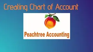 Creating an Effective Chart of Accounts for Your Business using Peachtree 🍑