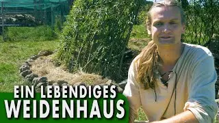 Mein WEIDEN-HAUS nach 6 Monaten | Naturbauten der Neuen Erde