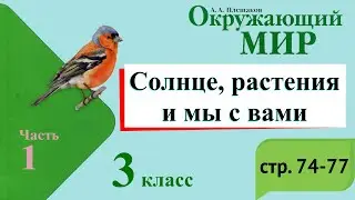 Солнце, растения и мы с вами. Окружающий мир. 3 класс, 1 часть. Учебник А. Плешаков стр. 74-77