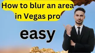 How to Blur Specific Areas in Vegas Pro