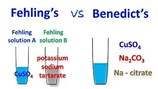 Difference between fehling and benedict test
