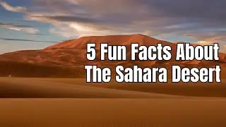 Africa Sahara Desert Facts - The Sahara Desert Facts