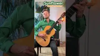 Sunflower - composed by Dimitri Lavrentiev #guitar #music #flow #sunflower