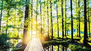 Relax 4 Hours - Relaxing Nature Sounds-Study-Sleep-Meditation-Water Sounds-Bird Song