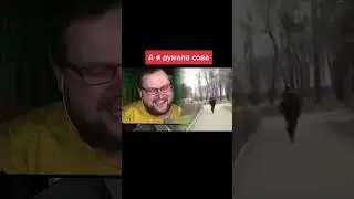 Куплинов и сова