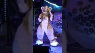 Хорячьи Танцы 