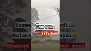 Shunaqa sevgilim bor❤️🙁 #qalblar_tv #sevgi #armon #aslwayne #uzmir #m1nor #green71 #konsta #yagzon