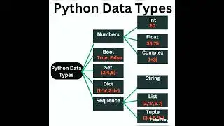 Python data types 