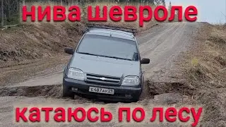 НИВА ШЕВРОЛЕ КАТАЮСЬ ПО ЛЕСУ ПО БЕЗДОРОЖЬЮ