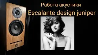 Демонстрация работы акустики Escalante design juniper музыка Russian GirlJenia Lubich