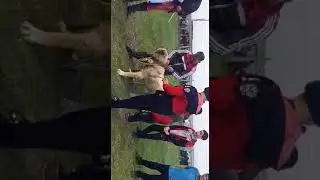 Дикий 3й чемпион Дагестана!!!