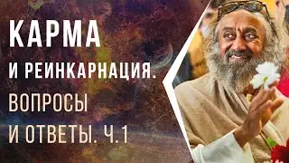 Карма и реинкарнация. Вопросы и ответы. Часть 1