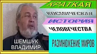 КРАТКАЯ КОСМИЧЕСКАЯ ИСТОРИЯ ЧЕЛОВЕЧЕСТВА ч.1. РАЗМНОЖЕНИЕ МИРОВ. Шемшук Владимир.