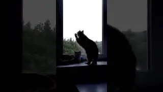 Я же просто хотела снять эстетичное видео 😭❤️‍🔥 