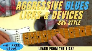 Aggressive Blues Licks & Devices SRV Style Turn 1 lick to 10 - FREE eBook