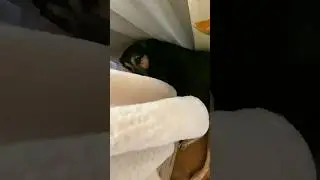 Нельзя шутить с Люсей про когти🙈 