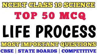 Best Mcq of Life Processes Class 10 Biology Full Chapter | Class 10 Life Processes 