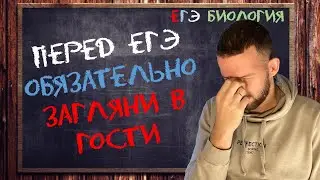 До ЕГЭ ОБЯЗАТЕЛЬНО загляни в гости к эксперту ЕГЭ