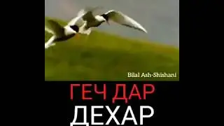 Ша еш йолу 1амал дукх хетар  -  Bilal Ash-Shishani