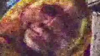 HORRORS OF DRUGS AND THE DISTURBING ASTEROID! | Paraedolon