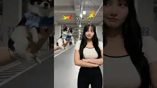 강아지 vs 인간 | 스피드 대결😆 승자는 누구?🤔