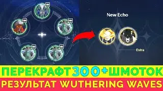 RE-CRAFT 300+ CLOTHES | WHAT FELL OUT? | WUTHERING WAVES