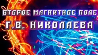 Второе магнитное поле Г.В. Николаева.