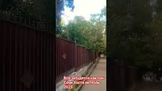 Александр Эгромжан Все забудется как сон. Сочи Хоста октябрь 2023 #море #сочи #shorts