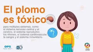 ¿Por qué se debe eliminar la pintura con plomo?
