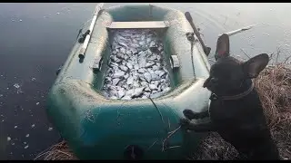 Снова на осеннюю реку за лещами. Супер улов!!!!!