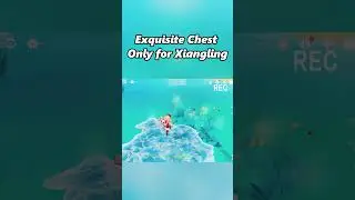 Exquisite Chest Only for Xiangling 