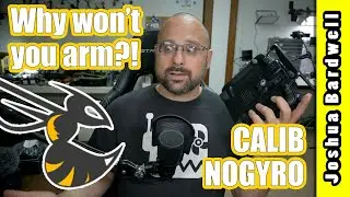 BETAFLIGHT WON'T ARM | CALIB NOGYRO arming status flags