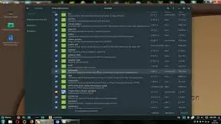 Manjaro 18.04 cinnamon/ je la plante ROYALEMENT ( desinstallation de simple logiciels/ FR
